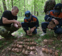 В лесу под Тулой поисковики нашли тайник с гранатами