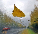 Погода в Туле 5 сентября: дождливо и прохладно