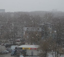 Погода в Туле 27 января: снежно и ветрено