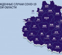 В каких городах Тульской области есть коронавирус: карта на 16 июня