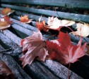 Погода в Туле 23 октября: холодно, дождливо, умеренный ветер