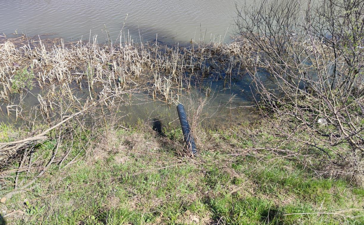 Туляки: «В Горелках в пруд сливают канализацию»