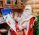 Юные туляки отправили более 300 писем Деду Морозу в Великий Устюг