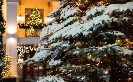 Жизнь Тулы и области