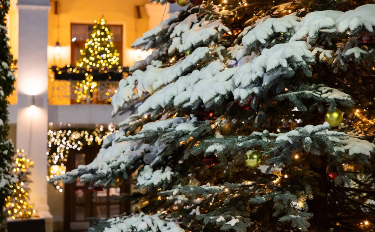 Погода в Туле 30 декабря: снег и низкое атмосферное давление