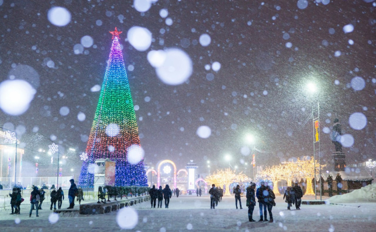 «В Туле елка дешевле, чем в Щекино»: жители возмутились покупкой ели за 10 млн рублей 