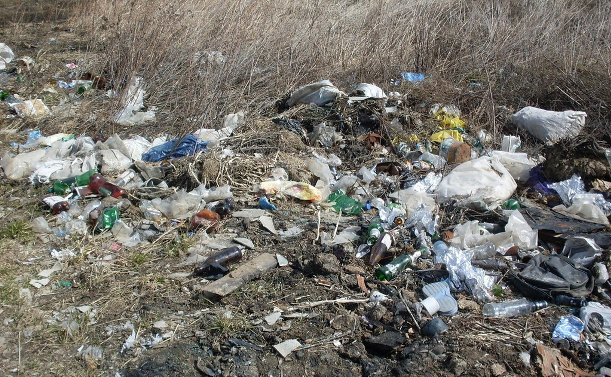 За неубранный мусор собственник земли в Веневском районе заплатит 30 тысяч рублей