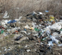 За неубранный мусор собственник земли в Веневском районе заплатит 30 тысяч рублей