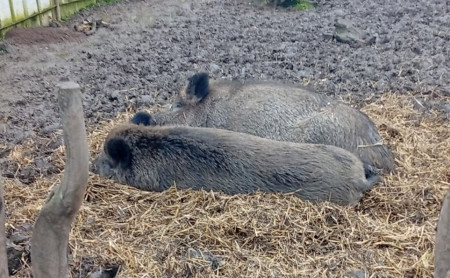 Жизнь Тулы и области