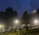 Виновник зловонного тумана в Новомосковске найден, но он вину не признает – экологи