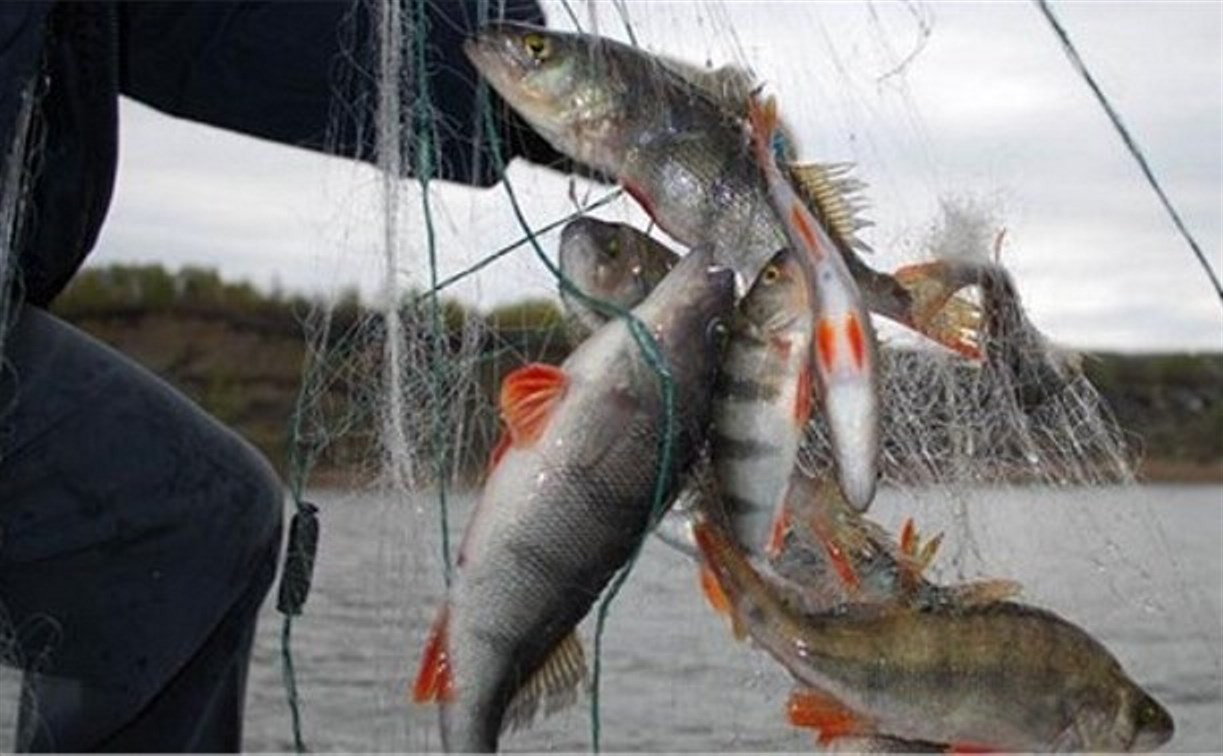 В России могут ввести электронные журналы для рыбаков