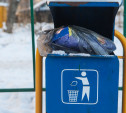 Правда ли, что каждый туляк производит 1,1 кг мусора в день?