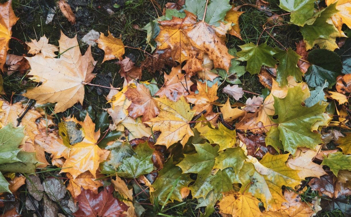 В Туле резко похолодает
