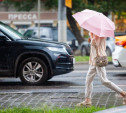 Погода в Туле 10 июля: дождь, гроза и до +31 градуса