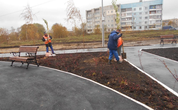 В Туле на улице Новоселов появился сквер