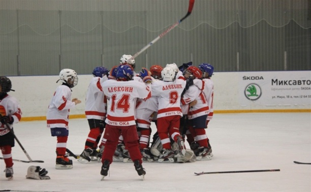 В Новомосковске юные хоккеисты разыграли Кубок «Skoda»
