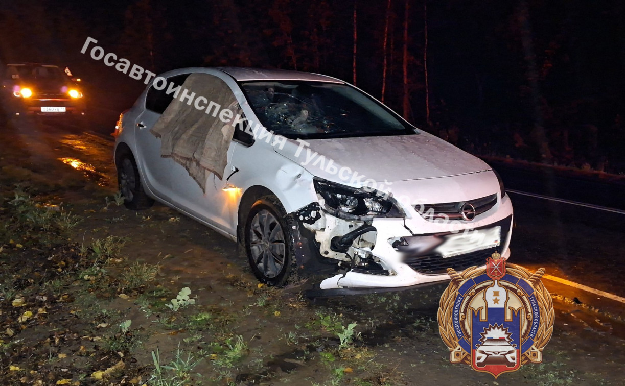 В Щекинском районе автоледи на Opel насмерть сбила пешехода