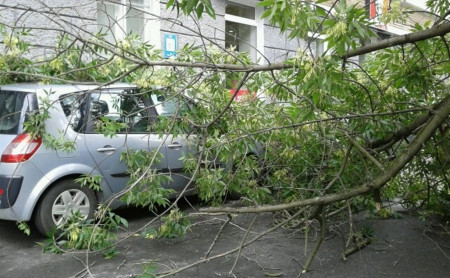 Жизнь Тулы и области