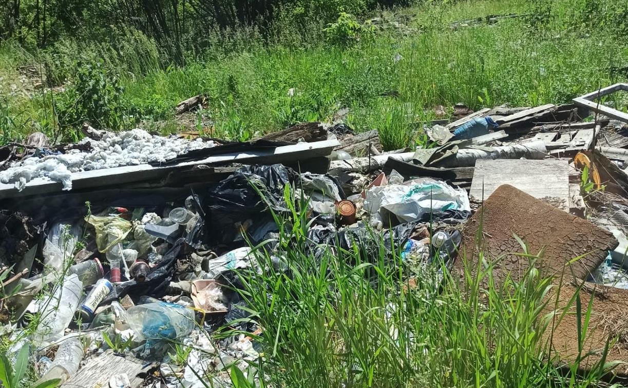 В Чернском районе возле дороги устроили свалку бытовых отходов и строительного мусора