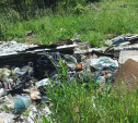 В Чернском районе возле дороги устроили свалку бытовых отходов и строительного мусора