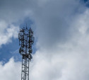 В Тульской области доступ в интернет появился у 95% домохозяйств