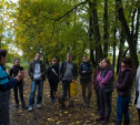 Волонтеры посадили в Ясной Поляне молодые дубки
