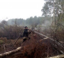 Лесные пожары в Тверской области тушили 40 тульских спасателей