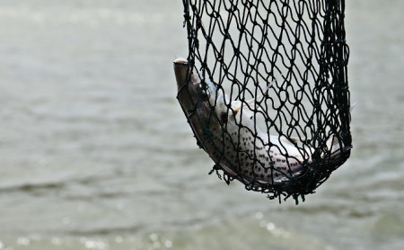 Дежурная часть