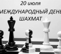 Туляков приглашают поучаствовать в шахматном турнире