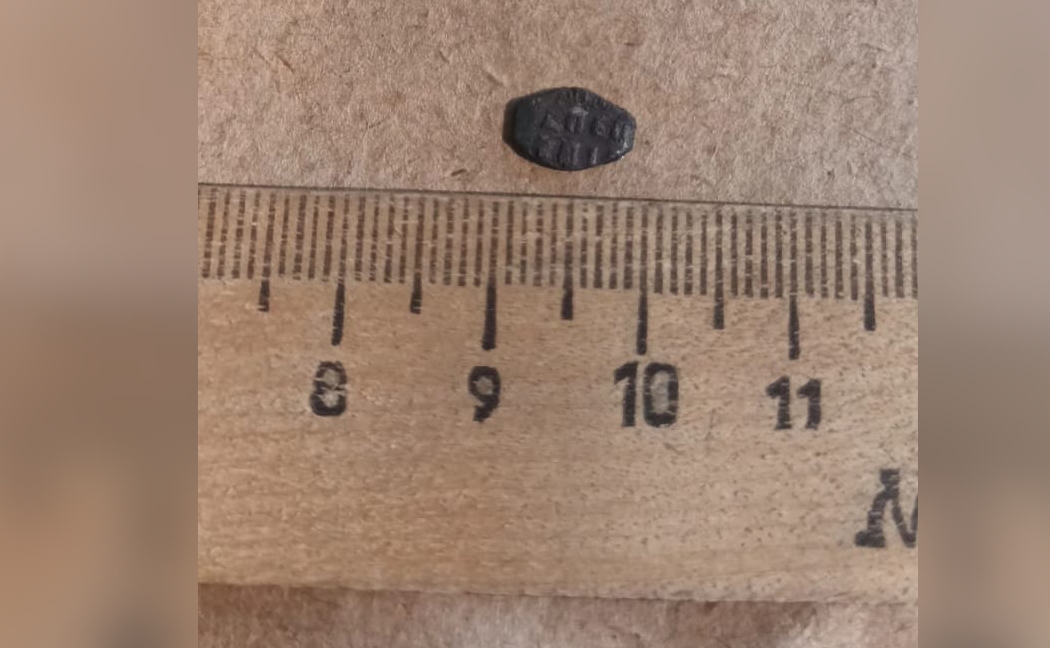 При раскопках тульские археологи нашли редкую серебряную монету эпохи Петра I