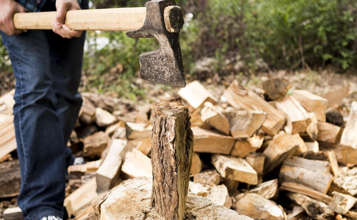 В Туле незаконно вырубили деревьев на сумму больше 28 млн рублей