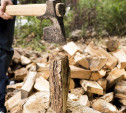 В Туле незаконно вырубили деревьев на сумму больше 28 млн рублей