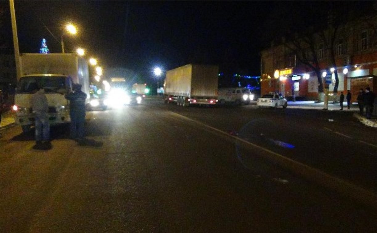 В Тульской области грузовой Hyundai насмерть сбил пешехода
