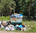 В Бунырево жители жалуются на кучу мусора возле кладбища