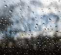 Погода в Туле 20 июня: грозовые дожди и порывистый ветер