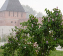 Погода в Туле 29 апреля: сильный дождь и до +15 градусов