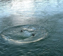 В Ясногорском районе в пруду утонул пьяный рыбак