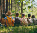 В Тульской области обнаружили незаконный детский летний лагерь Lis camp