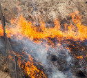 В Тульской области сохраняется высокая степень пожароопасности и ожидаются заморозки