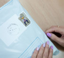 Главные символы Тулы появились на дизайнерских наклейках Почты России