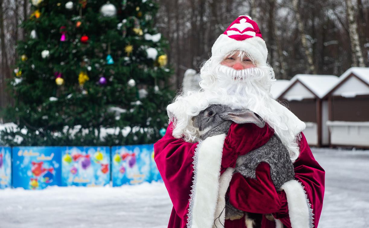 Главный Дед Мороз Тулы поздравил читателей Myslo с наступающим Новым годом: видео