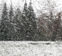 Погода в Туле 29 января: сыро, ветрено и низкое давление