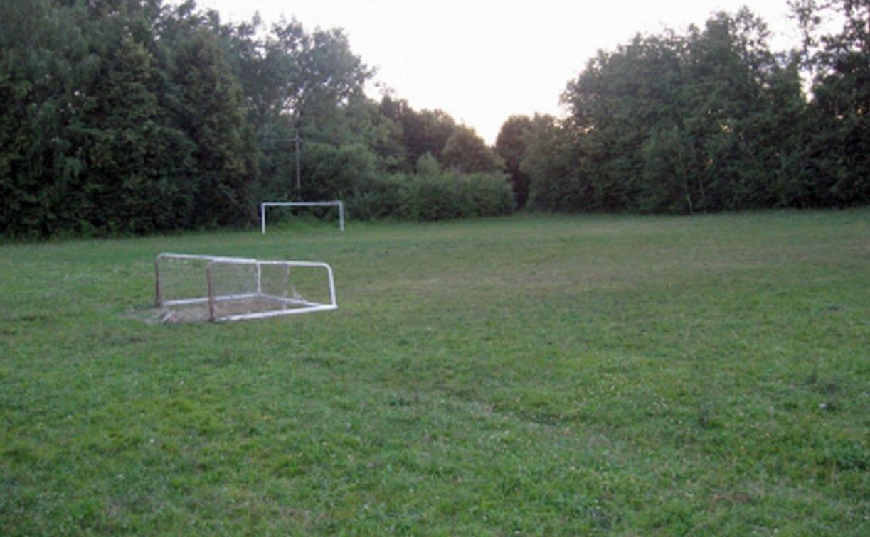 В Тульской области директора центра образования оштрафовали за упавшие на ребенка футбольные ворота