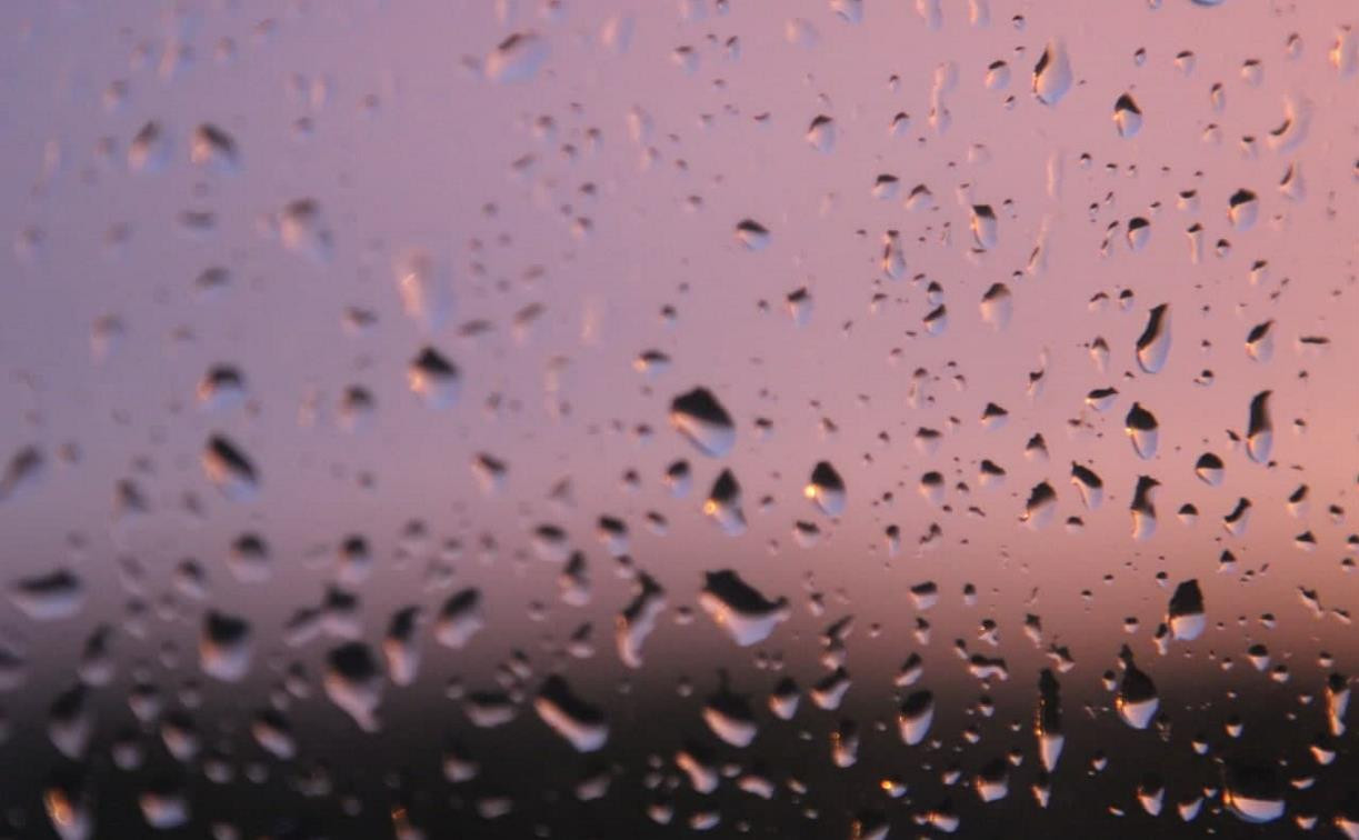 В Туле ожидается кратковременный дождь