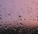 В Туле ожидается кратковременный дождь