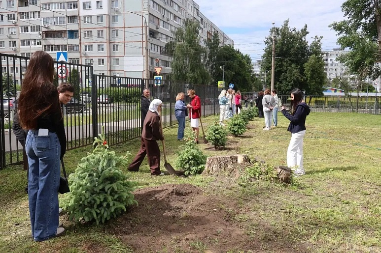 В Тульском областном медицинском колледже появилась Аллея выпускников