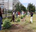 В Тульском областном медицинском колледже появилась Аллея выпускников