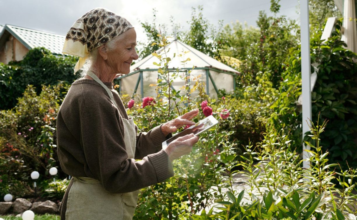 Быстрее пчел: МегаФон ускорил интернет в Тульской области