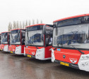 В Туле обновляют общественный транспорт: расскажем всё о новых автобусах