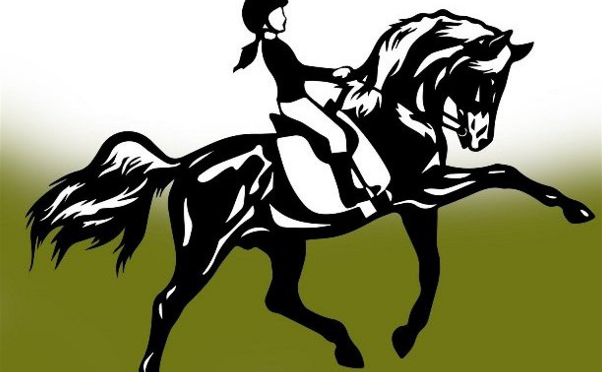 В Центральном парке пройдут конные соревнования по выездке